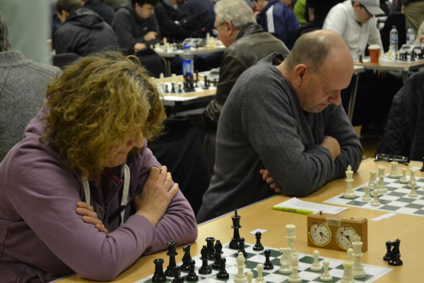Anne Donkin, Chris Donkin